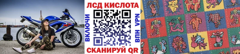 где купить наркотик  Шенкурск  hydra онион  Марки 25I-NBOMe 1,5мг 